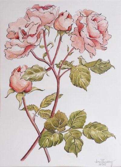 Rose, Abraham Derby, 2012 da Joan Thewsey